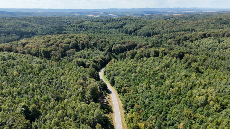 Höringen nach Otterberg