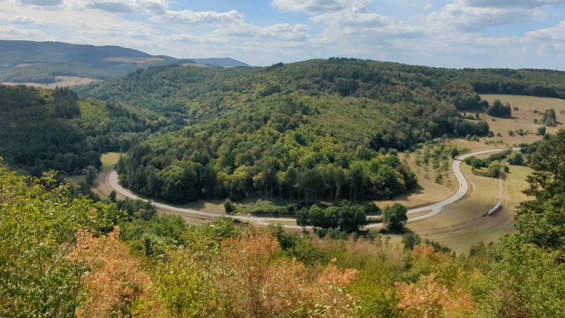 Längste Kurve der Pfalz