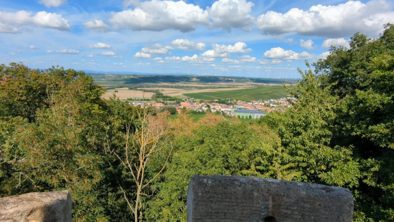 Ausblick vom Lonsheimer Aussichtsturm