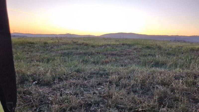 Sonnenaufgang aus dem Zelt heraus