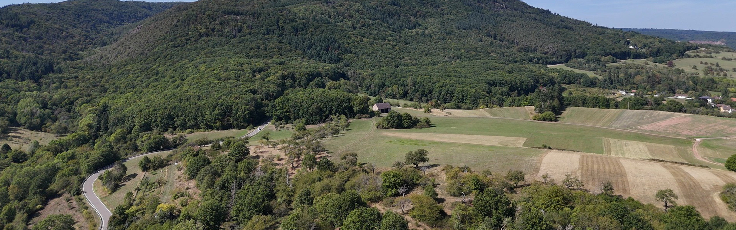 Luftaufnahme vom Donnersberg